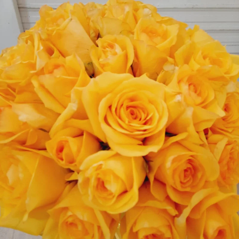 Buqu� de 50 Rosas Amarelas